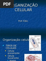 Biologia PPT - Org Celular e Ultra Estrutura