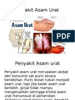 Penyakit Asam Urat