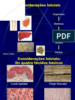 Biologia PPT - Botânica - Tecidos