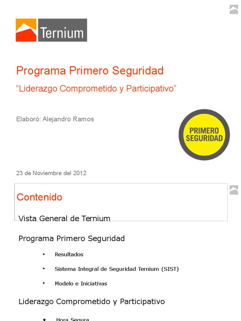 Plan de Seguridad Integral | PDF | La seguridad | Liderazgo