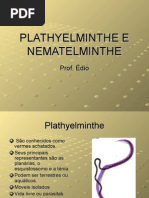 Biologia PPT - Plathyhelminthe e Nematelminthe