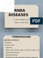 Cornea Diseases