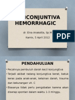 Subconjuntiva Hemorrhagic