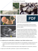 Diagnostica Prenatale a Genova: Analisi Translucenza Nucale | Ospedale Evangelico Internazionale Gen