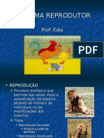 Biologia PPT - Sistema Reprodutor