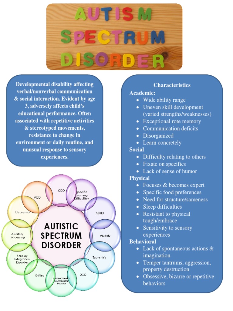 Strategies for Supporting Autism in Education | PDF