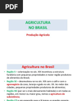 07. Produção Agrícola no Brasil.2016.pdf