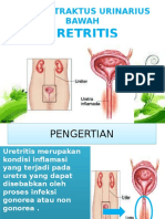 Sap Uretritis