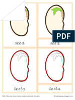 Parts of The Seed Nomenclature Cards