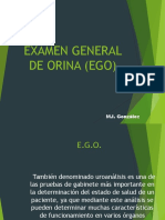 Interp Uroanalisis EGO