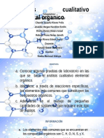 ANALISIS CUALITATIVO ELEMENTAL ORGANICO