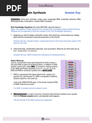 Rnaproteinsynthesisse Key Translation Biology Rna