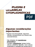 CITOPLASMA E ORGANELAS CITOPLASMÁTICAS- 29-09.ppt