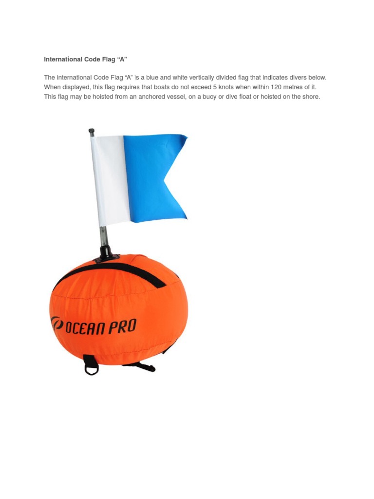 International Code Flag PDF