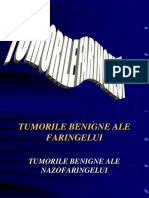 4.-TUMORILE-FARINGELUI