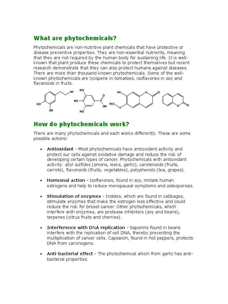 Understanding Phytochemicals and Benefits | PDF | Vegetables | Antioxidant