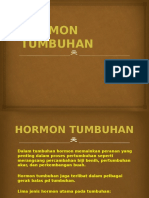 Hormon Tumbuhan