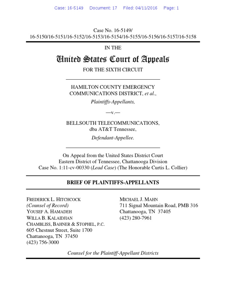 17-hamilton-county-appellate-brief-pdf-summary-judgment-implied-cause-of-action