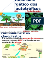 Metabolismo Energético Dos Seres Vivos - Foto e Quimio