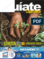 Informe Guiate Cajamarca 08 08 2016