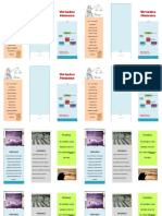 Publicación2 PDF