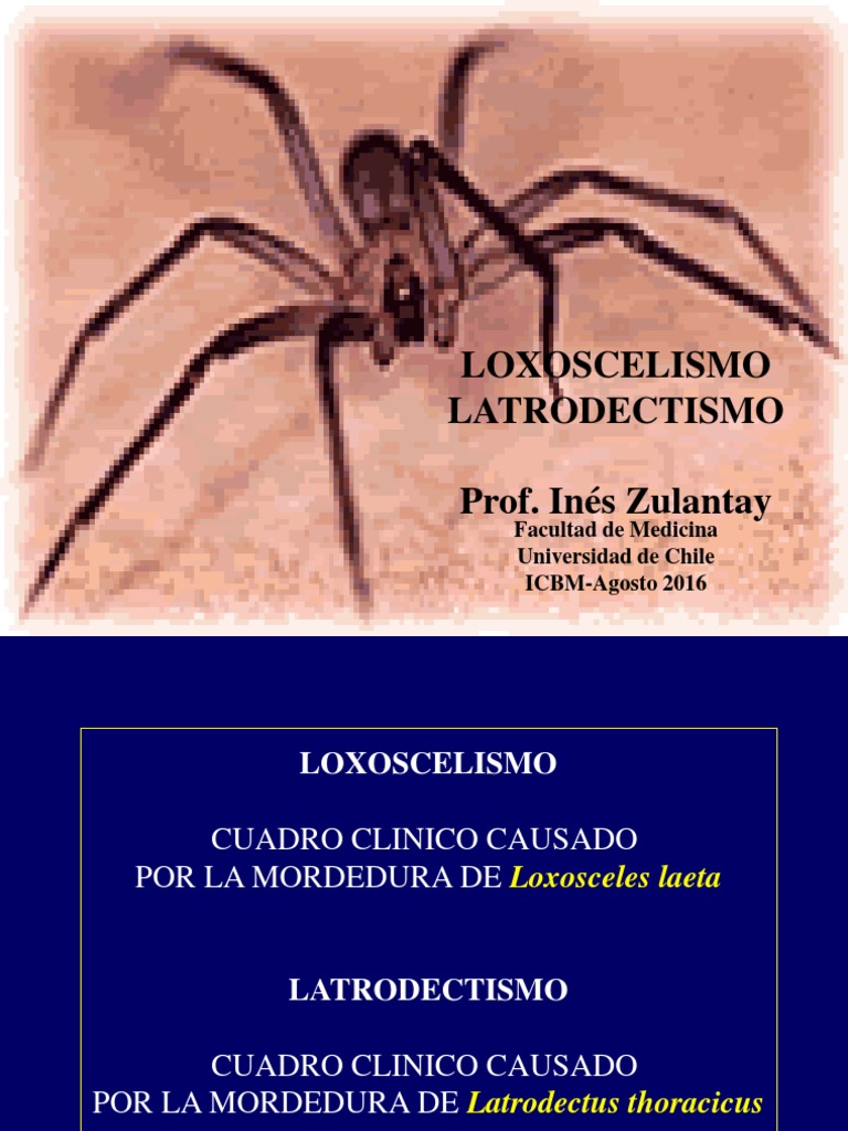 LOXOSCELISMOLATRODECTISMO_4_AGOSTO_2016.pdf Spider Medical Specialties