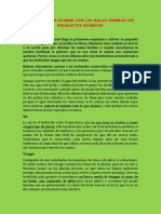 6 Maneras de Acabar Con Las Malas Hierbas Sin Productos Químicos