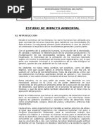 IMPACTO AMBIENTAL.doc
