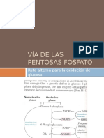 Gluconeogenesis Complementos