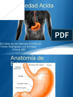 Enfermedad Acida Péptica