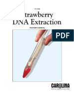 Strawberry Dna Extract Kit