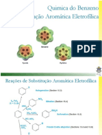 14 - Quimica Do Benzeno - Substitução Aromatica Eletrofílica