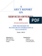 19423527-Project-Report-PNB-1 (2).doc