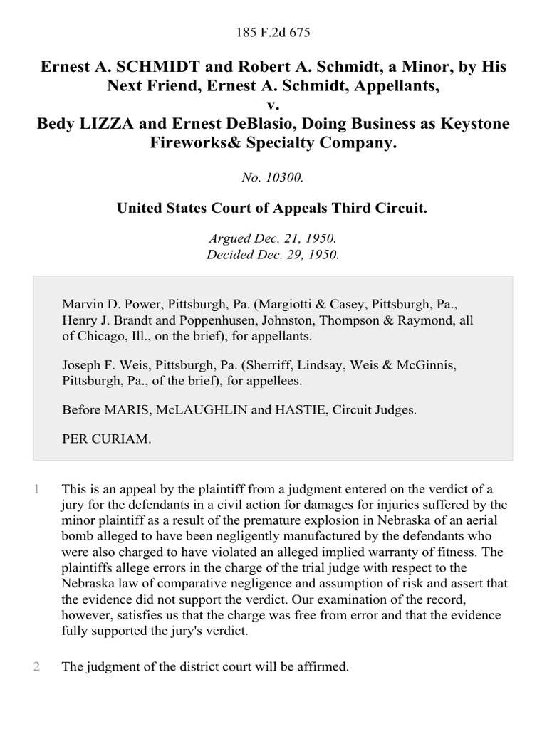 Ernest A. Schmidt and Robert A. Schmidt, a Minor, by His Next Friend