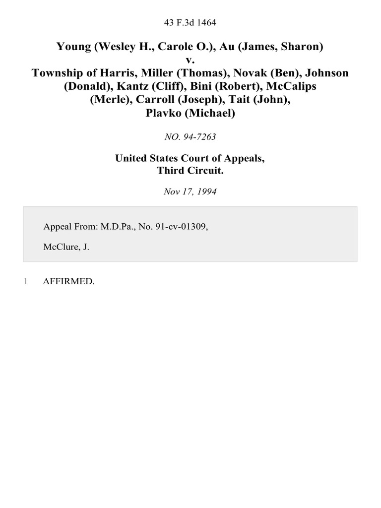 united-states-court-of-appeals-third-circuit-pdf