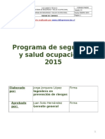 Programa o Plan Anual de Prevención de Riesgos SSO