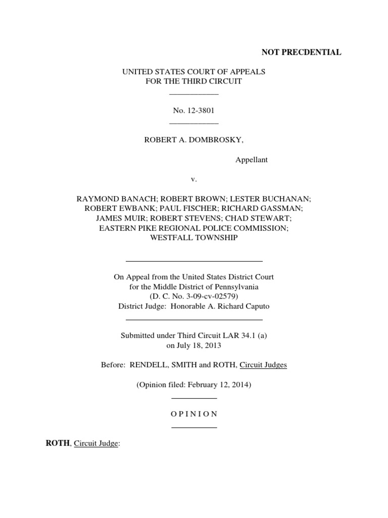 ROTH, Circuit Judge | PDF | Summary Judgment | United States District Court