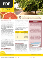 Download CitrusTrees by jaclynrevis SN32080022 doc pdf