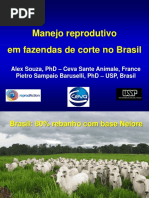 20130312113416 1. Gestao Reprodutiva Em Exploracoes de Carne No Brasil - Dr. Alex Souza
