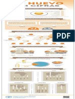 FAO Infographic Egg Facts Es PDF