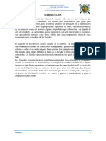 SEMINARIO-02.pdf