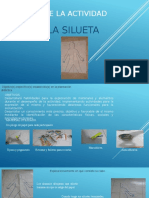Presentacion de La Silueta