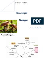 Hongos I.pdf