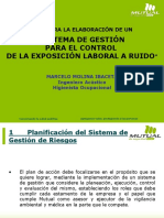 3.3  SISTEMA DE GESTION DE EXPOSICION A RUIDO.pdf