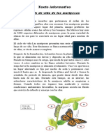 Texto Informativo de Las Mariposas