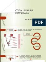 INFECCION URINARIA COMPLICADA