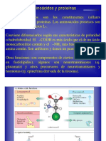 Aminoacidos y Proteinas