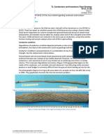 Fleet Strategy - TL Conductors and Insulators