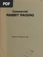 Download Commercial Rabbit Raising Rich by tespinoza812 SN32086334 doc pdf