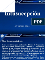 5.-guia_grafica_intu_20239.ppt